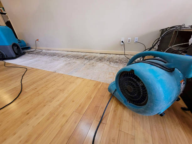 Professional Flood Damage Cleanup technician working in Redondo Beach, CA